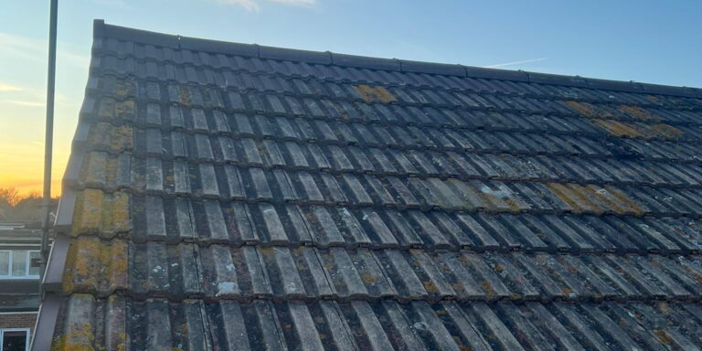 WhatsApp Image 2025-06-16 at 5.06.07 PM (3)